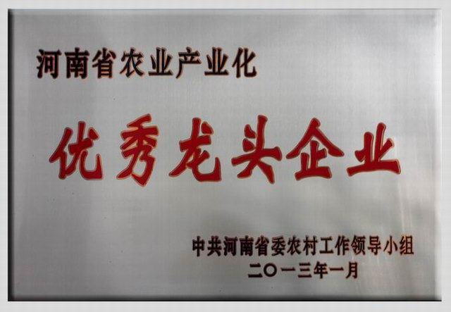 8.省***龍頭企(qi)業(yè)2013.1