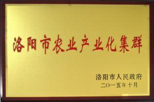 洛(luo)陽(yang)市辳(nong)業(yè)(ye)産業(yè)(ye)化集(ji)羣